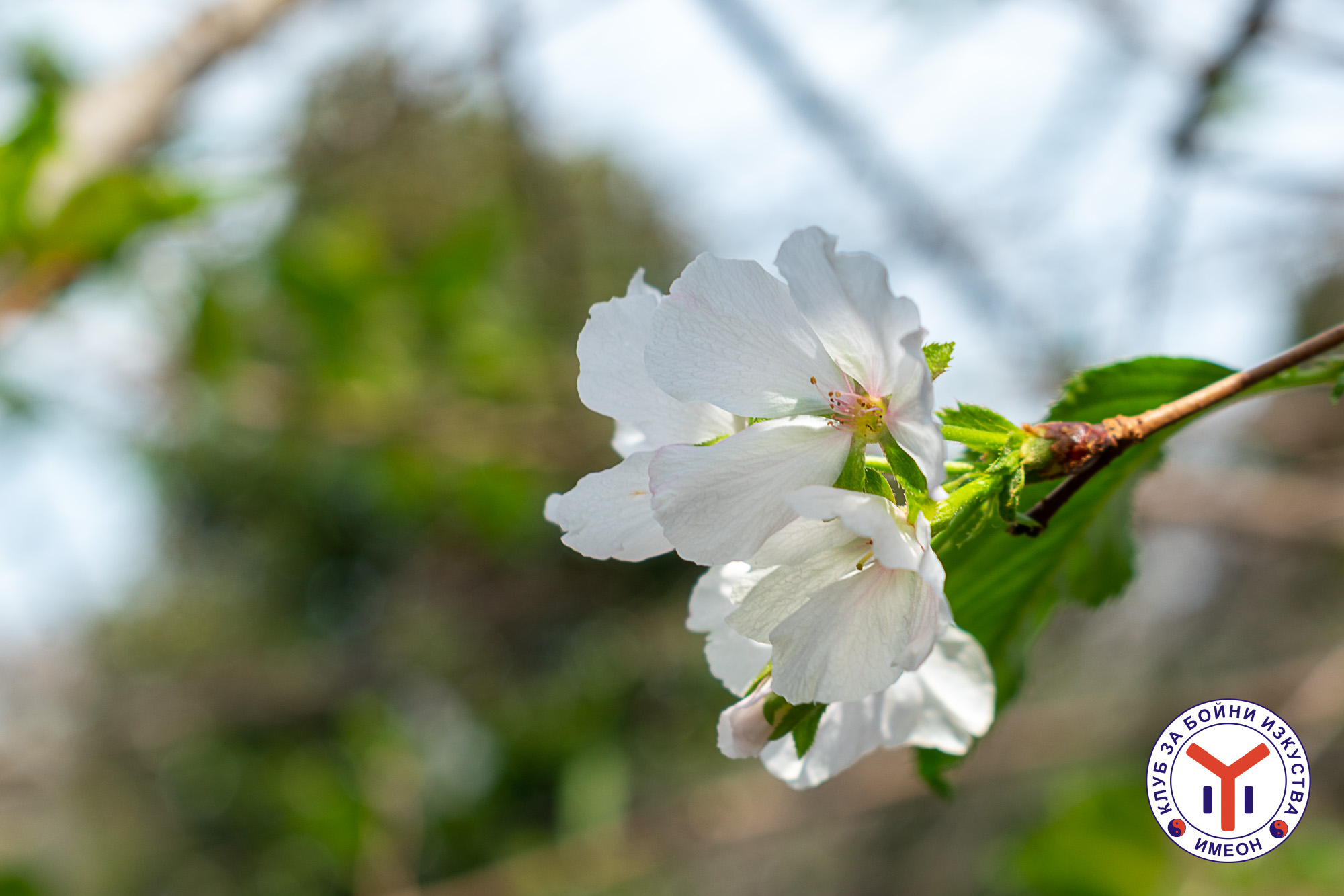 Japan_2024-7