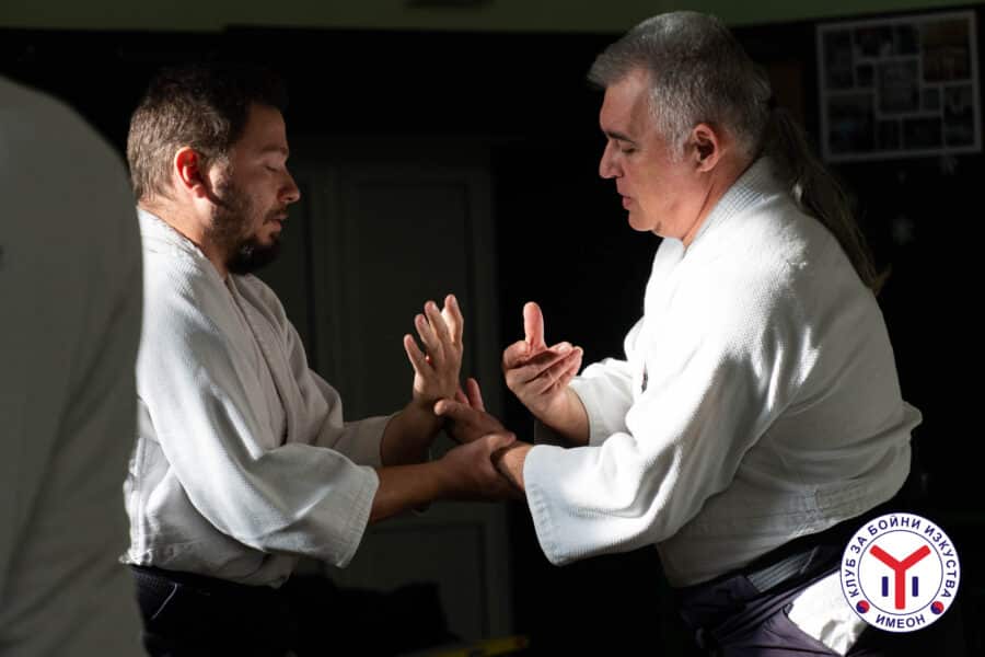 Aikido_and_friends_0525-17